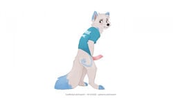 animal_genitalia animal_penis anthro arctic_fox blush bottomless canid canine canine_penis clothed clothing erection fox furry_only genitals knot leto_(letodoesart) letodoesart male mammal penis shirt solo t-shirt topwear