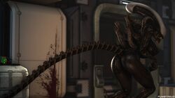 female xenomorph from alien (franchise)