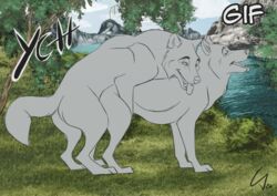 advertisement all_fours ambiguous_gender animated canid canine canis doggy_style duo feral from_behind_position mammal sex short_playtime therbis wolf ych_(character)