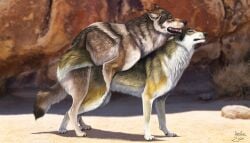 2024 ambiguous_penetration arf-fra astra_(kingtimbera) canid canine canis detailed_background duo female feral feral_on_feral footpad_(character) hi_res male male/female mammal outside_sex penetration sex wolf