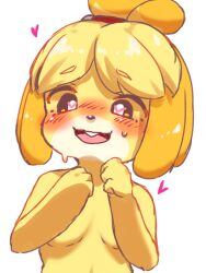 animal_crossing anthro blush bodily_fluids breasts canid canine canis covering covering_breasts domestic_dog female heart_eyes heart_symbol hi_res isabelle_(animal_crossing) keminoai_omi mammal nintendo nude shih_tzu solo sweat toy_dog