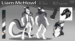 anthro beanie_hat canid canine canis dragon furry_only genitals horn hybrid kittydee knot liam_mchowl long_tail male mammal model_sheet penis ribbed_penis scales solo tattoo warwolf47 wolf