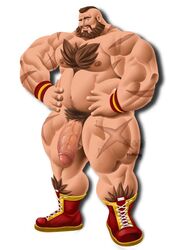 fkingt fkingtdrawings hanging_cock hanging_penis long_penis male_only muscular muscular_male naked solo solo_male street_fighter zangief