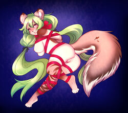 anthro anus ass bondage bound box-cat breasts brown_stripes digital_media_(artwork) female fluffy fluffy_tail fur genitals green_hair hair long_hair looking_at_viewer looking_back looking_back_at_viewer mammal nipples nude open_mouth pink_eyes pink_nipples pink_pussy procyonid pussy raccoon rear_view ribbon_bondage ribbons shaded solo stripes stripes_(marking) tan_body tan_fur tialasakura twintails