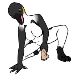 1:1 2020 anthro avian bird colored_nails colored_sketch digital_media_(artwork) dildo emperor_penguin female green_eyes masturbation mature_female nails nude open_mouth pencilsdgr penguin sex_toy simple_background sketch solo