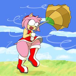 1:1 amy_rose anthro clothing eulipotyphlan female genitals hedgehog hi_res mammal mobian_(species) pussy sega skewedl0gic solo sonic_(series) sonic_the_hedgehog_(series) umbrella wind