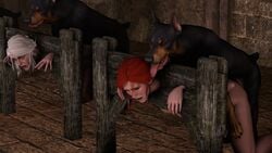 1boy 3animals 3d 3girls canine cd_projekt_red ciri doggy_style dominant_feral forced shittyhorsey submissive_female the_witcher the_witcher_(series) the_witcher_2 the_witcher_3:_wild_hunt triss_merigold vaginal_penetration zoophilia