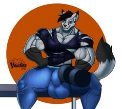 anthro bench bulge canid canine clothing exercise fox hi_res male male_only mammal muscular muscular_anthro muscular_male solo solo_male swollen torn_clothing weightlifting weights workout yaudizz