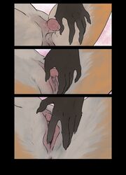 anthro anus canid canine comic female finger_fuck fingering fox fur gender_transformation genitals hi_res mammal mtf_transformation orange_body orange_fur penis_shrinking pesimist pink_pussy pussy solo transformation vaginal_penetration white_body white_fur