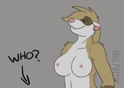 alex.fetter animated anthro bouncing_breasts breasts brown_body brown_fur domestic_ferret female flat_colors fur green_eyes lucy_(alex.fetter) mammal mustelid musteline nipples nude riding tan_body tan_fur text true_musteline weasel white_body white_fur