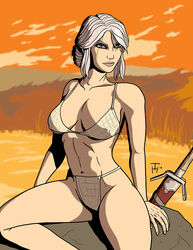 cd_projekt_red ciri tagme taynor_hook the_witcher_(series) the_witcher_3:_wild_hunt