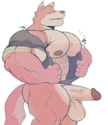 1boy 2020 5_fingers abs absurd_res animal_humanoid anthro areola ass balls bara_tiddies bara_tits biceps big_areola big_balls big_chest big_muscles big_pecs big_penis bottomless brown_areola brown_nipples brown_nose canid canine canis clothed clothing crocobu erection fingers fur genitals gigantic_chest gigantic_pecs green_body green_fur green_stripes hand_on_chest hi_res huge_chest huge_muscles huge_pecs humanoid humanoid_genitalia humanoid_penis kane_(crocobu) large_pectorals looking_down male male_only mammal man_boobs man_breasts massive_chest massive_pecs moobs mostly_nude multicolored_body multicolored_fur muscular muscular_anthro muscular_male nipples open_mouth pecs penis pink_body pink_fur quads red_eyes sharp_teeth shirt simple_background smile solo striped_fur stripes tan_body tan_fur tan_penis teeth thick_thighs topwear torn_clothing torn_shirt torn_topwear vein veiny_penis white_background wolf