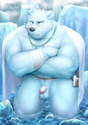 2020 balls barazoku black_nose blush genitals humanoid_genitalia humanoid_penis ice kemono male mammal muscular muscular_male nazimi00 outside penis polar_bear ursid ursine water