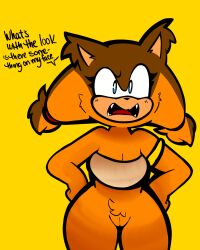 sticks the badger from sega by heyomaerow