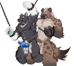 abs anal anal_penetration animal_genitalia anthro armpit_tuft balls barazoku black_body black_fur blue_knot blue_tongue bodily_fluids bound brown_body brown_fur canid canine canis chain chained claws dripping duo eyes_closed fur genital_fluids genitals hair hands_tied hi_res humanoid_genitalia hyena knot leaking_precum licking licking_lips male male/male mammal markings multicolored_body multicolored_fur muscular muscular_male nipples pawpads pecs penetration precum precum_drip simple_background spots spotted_body spotted_fur tan_body tan_fur teal_pawpads tongue tongue_out trenza white_background white_body white_fur white_hair wolf yellow_eyes