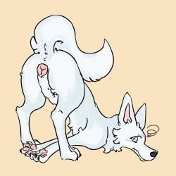 animal_genitalia breasts canid canine canis dizzy dogs_world domestic_dog female female_only feral fur genitals hi_res mammal paws pinkcandyzhou shy solo spread_legs spreading vulva white_body white_fur