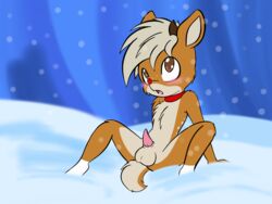 anthro antlers balls blush capreoline cervid collar digital_media_(artwork) fur furry_only genitals hair hi_res holidays horn larrykitty male mammal nude penis red_nose reindeer rudolph_the_red-nosed_reindeer:_the_movie rudolph_the_red_nosed_reindeer snow solo young