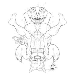 shade the hedgehog from sega