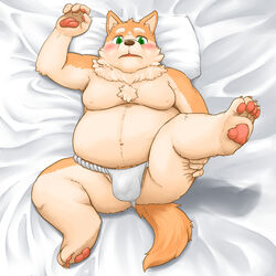 1:1 2020 anthro asian_clothing balls bedding belly blanket brown_body brown_fur bulge canid canine canis clothing domestic_dog east_asian_clothing fundoshi fur genitals hi_res hikuchi humanoid_hands japanese_clothing kemono lying male mammal moobs navel nipples overweight overweight_anthro overweight_male penis pillow solo underwear