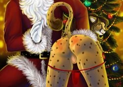 absurd_res alexandradane anthro ass cheetah christmas felid feline female genitals hi_res holidays mammal punishment pussy santa_claus