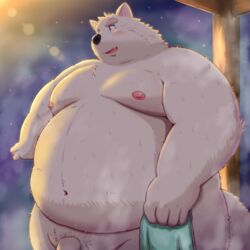 1:1 2020 absurd_res anthro balls belly black_nose canid canine canis flaccid fur furry_only genitals hi_res kemono kumajjjj male mammal moobs night nipples obese obese_anthro obese_male overweight overweight_anthro overweight_male penis solo towel wet white_body white_fur wolf