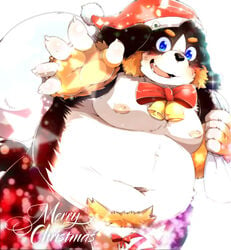 2020 balls belly bernese_mountain_dog black_body black_fur blue_eyes blush brown_body brown_fur canid canine canis christmas christmas_clothing christmas_headwear clothing domestic_dog fur genitals hat headgear headwear hi_res holidays kemono male mammal molosser moobs mountain_dog navel nipples overweight overweight_male santa_claus santa_hat swiss_mountain_dog tsurugi white_body white_fur