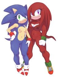 2girls absurd_res anthro blue_fur breasts casual crossgender echidna exposed_torso eyelashes female female_only footwear fur furry furry_only green_eyes handwear hedgehog hi_res humanoid knuckles_the_echidna looking_at_viewer mammal mostly_nude mtf_crossgender naked nipples nude purple_eyes pussy red_fur rule_63 smile sonic_(series) sonic_the_hedgehog sonique_the_hedgehog squish_(artist) tail thick_thighs vagina