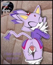 animated anthro blaze_the_cat cat feline female female_only fur mammal sega solo sonic_(series) uasketcher uekawa_style zetar02