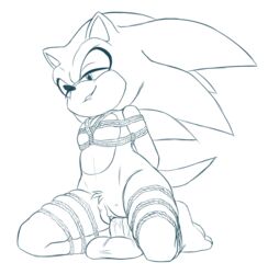 sonic the hedgehog from sega by nowykowski7