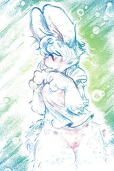 2020 anthro bottomless clothed clothing female fluffy fluffy_tail furry_only genitals hair hi_res lagomorph leporid long_ears mammal nipple_outline panken pussy rabbit shirt shirt_only signature solo topwear topwear_only