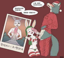 balls beastars bodily_fluids breasts canid canine canis chinese_text clothing cum daimo female genital_fluids genitals haru_(beastars) hi_res lagomorph legoshi_(beastars) leporid male mammal penis rabbit straight text translation_request wolf