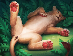 animal_genitalia animal_pussy anus brevis disney felid feline_pussy female feral genitals hindpaw lion looking_at_viewer lying mammal nala on_back open_mouth outside pantherine pawpads paws pussy solo spread_legs spreading the_lion_king