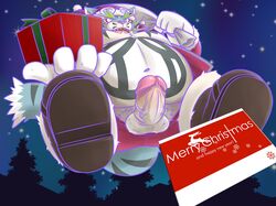 santa claus from christmas