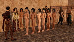 3d 4boys 6+girls 8girls arms_behind_back barefoot black_hair bondage breasts collar emarukk female femsub harem large_breasts loincloth long_hair maledom medium_breasts multiple_girls multiple_subs nipple_piercing nude sex_slave slave slave_collar slavegirl submissive_female take_your_pick topless veil