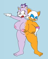 anthro blaze_the_cat breasts chiropteran conjoined domestic_cat felid feline felis female fusion genitals hi_res mammal merging mobian_(species) multi_breast pussy rouge_the_bat sega skewedl0gic sonic_(series) sonic_the_hedgehog_(series)