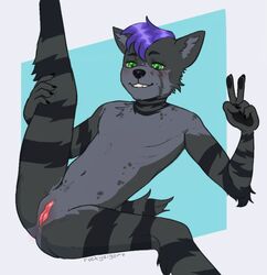 andromorph anthro blue_background cuntboy fur genitals green_eyes grey_body hi_res hyaenid intersex mammal purple_eyes pussy raised_leg rockyziger simple_background smile solo spread_legs spreading striped_body striped_fur striped_tail stripes