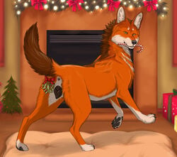 animal_genitalia animal_pussy anus ass candy candy_cane canid canine canine_pussy christmas dessert dhole dorosheva-e female feral food fur genitals holidays inside mammal mistletoe orange_body orange_fur plant presenting presenting_hindquarters pussy solo xanaki_(resper)