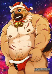 1boy 2020 anthro belly blush bodily_fluids bulge canid canine canis christmas christmas_clothing christmas_headwear clothing daisukebear domestic_dog genitals hat headgear headwear hi_res holidays humanoid_hands kemono male male_only mammal moobs navel night nipples overweight overweight_anthro overweight_male penis santa_hat solo sweat text tokyo_afterschool_summoners underwear url video_games yasuyori