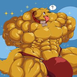 1:1 2018 ? abs anthro big_bulge big_muscles bird_dog breath brown_eyes bulge canid canine canis clothed clothing collar domestic_dog dong2fm fur golden_retriever hi_res huge_bulge huge_muscles hunting_dog hyper hyper_bulge hyper_muscles male mammal muscular muscular_anthro muscular_arms muscular_male muscular_thighs nipple_barbell panting pecs red_clothing red_underwear retriever solo tongue tongue_out underwear underwear_only yellow_body yellow_fur