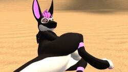 3d animated furry furry_only gay kangaroo male mp4 richardbunbon sound sound_warning tagme teasing teasing_penis teasing_viewer video vrchat vrchat_avatar