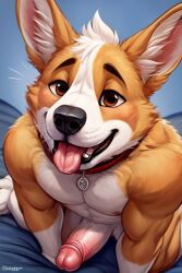 ai_generated anthro brown_eyes canine collar corgi erect_penis erection fur male on_all_fours on_bed on_knees penis petplay tongue_out welsh_corgi