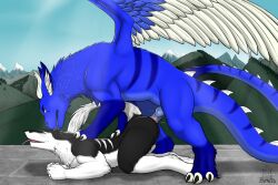 anal anal_sex anthro anthro_on_feral anthro_penetrated ass ass_up big_dom_small_sub claws dominant dragon duo elbestia feathered_wings feathers feral feral_penetrating feral_penetrating_anthro fur furred_dragon male male/male male_penetrated male_penetrating male_penetrating_male mountain multicolored_body multicolored_fur paws penetration raised_tail reptile_tail sergal sex size_difference tail tongue tongue_out wings zoophilia