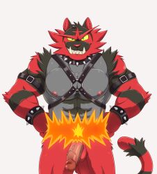 anthro balls biceps black collar erection fur generation_7_pokemon genitals harness hi_res humanoid_genitalia humanoid_penis ijpalette-color incineroar male male_only muscular muscular_anthro muscular_male nintendo nude pecs penis pokemon pokemon_(species) red_body red_fur simple_background solo tail