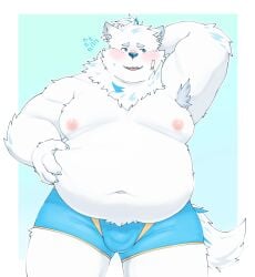 2023 anthro belly big_belly blush bulge canid canine canis clothing domestic_dog dragon_night800 fur hi_res humanoid_hands kemono lifewonders live_a_hero male mammal moobs nipples overweight overweight_male simple_background solo solo_male underwear white_body white_fur yohack