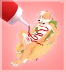 anthro blush canid canine canis condiment confusion domestic_dog feet food genitals herding_dog hi_res hot_dog ketchup laxes lettuce lewd_(disambiguation) lines male mammal meat pastoral_dog paws penis plant playing pouring reptile rorokykyroi sauce sausage scalie snake solo uncertain uncomfortable unsure vegetable welsh_corgi young