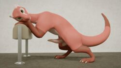 16:9 3d_(artwork) animated anthro digital_media_(artwork) dragon feral from_behind_position genitals humping_air looking_at_viewer loop male mounting penis presenting sex short_playtime slit solo tapering_penis veo widescreen