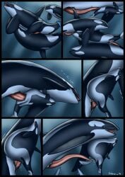 2016 anal anal_sex animal_genitalia animal_penis artist_name bodily_fluids bubble cetacean cetacean_genitalia cetacean_penis cetacean_pussy comic cum cum_in_pussy cum_in_water cum_inside dolorcin dolphin double_penetration erection fellatio female female_penetrated feral feral_on_feral feral_penetrated feral_penetrating feral_penetrating_feral flukes genital_fluids genitals group group_sex hi_res inflation inflation large_insertion larger_male male male/female male/male male_penetrated male_penetrating male_penetrating_female male_penetrating_male mammal marine oceanic_dolphin oral oral_penetration orca penetration penile penile_penetration penis penis_in_ass penis_in_mouth penis_in_pussy sex size_difference smaller_female smaller_penetrated spitroast stomach_bulge tapering_penis threesome tongue tongue_out toothed_whale underwater underwater_sex vaginal_penetration vaginal_penetration water year