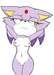 blaze the cat from sega by fixink