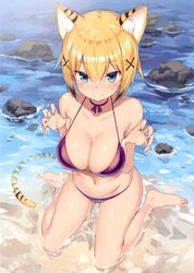 1girls big_breasts bikini blue_eyes cat_tail catgirl choker curvy greatmosu kneeling looking_at_viewer original short_hair tiger_ears tiger_tail toranoana