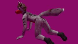 16:9 2021 3d 3d_(artwork) aardwolf all_fours animated anthro arm_stripes ass back_markings back_stripes backsack balls betlv black_nose black_stripes blender blender3d blender_(software) blinking blue_eyes brown_hair butt_wiggle chest_tuft claws countershading digital_media_(artwork) fluffy fur genitals gif grin hair hyaenid leg_markings loop magenta_background male mammal markings matt_aardwolf muzzle_(marking) paws perineum plantigrade presenting presenting_hindquarters red_markings short_hair short_playtime simple_background smaller_version_at_source smile socks_(marking) solo spiky_hair striped_body stripes tail_stripes tailwag teeth tuft white_body white_fur widescreen